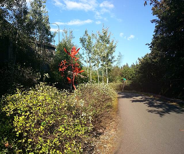 IssaquahPreston Trail Photos TrailLink
