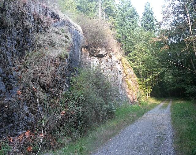 IssaquahPreston Trail Photos TrailLink