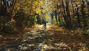 Conewago Recreation Trail Pennsylvania Trails