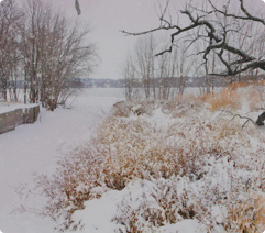 Illinois trail photo