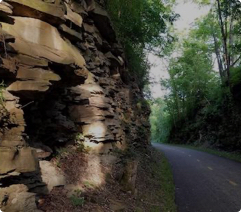 Ohio trail photo