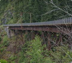 Washington trail photo