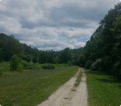 West Virginia trail photo