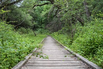 Hiking Trails Near Me Hiking Trails Trail Maps Traillink Hiking Trails Near Me Hiking Trails Trail Maps Traillink