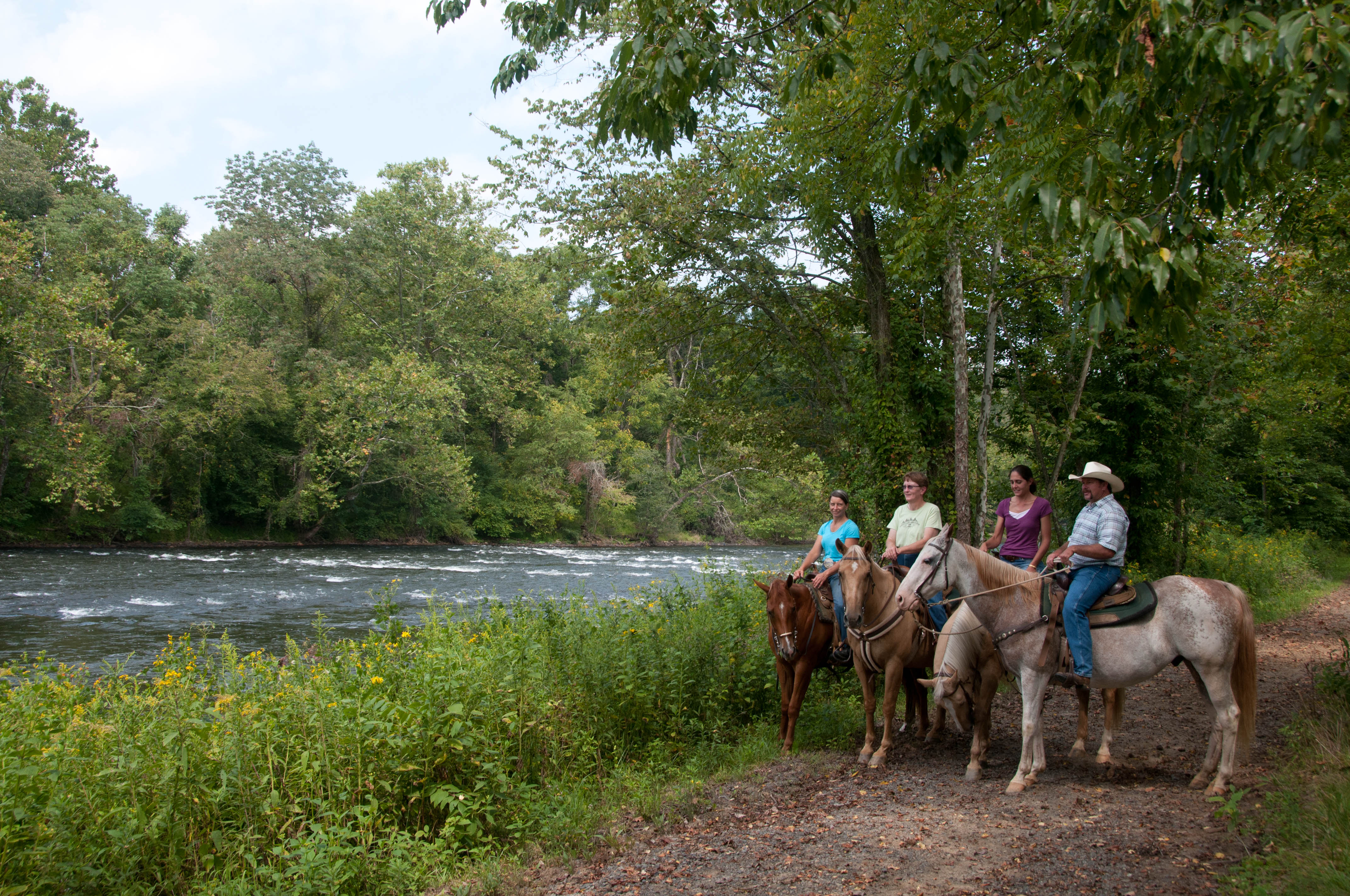 State Parks: A Wild Ride Through America's Backyard