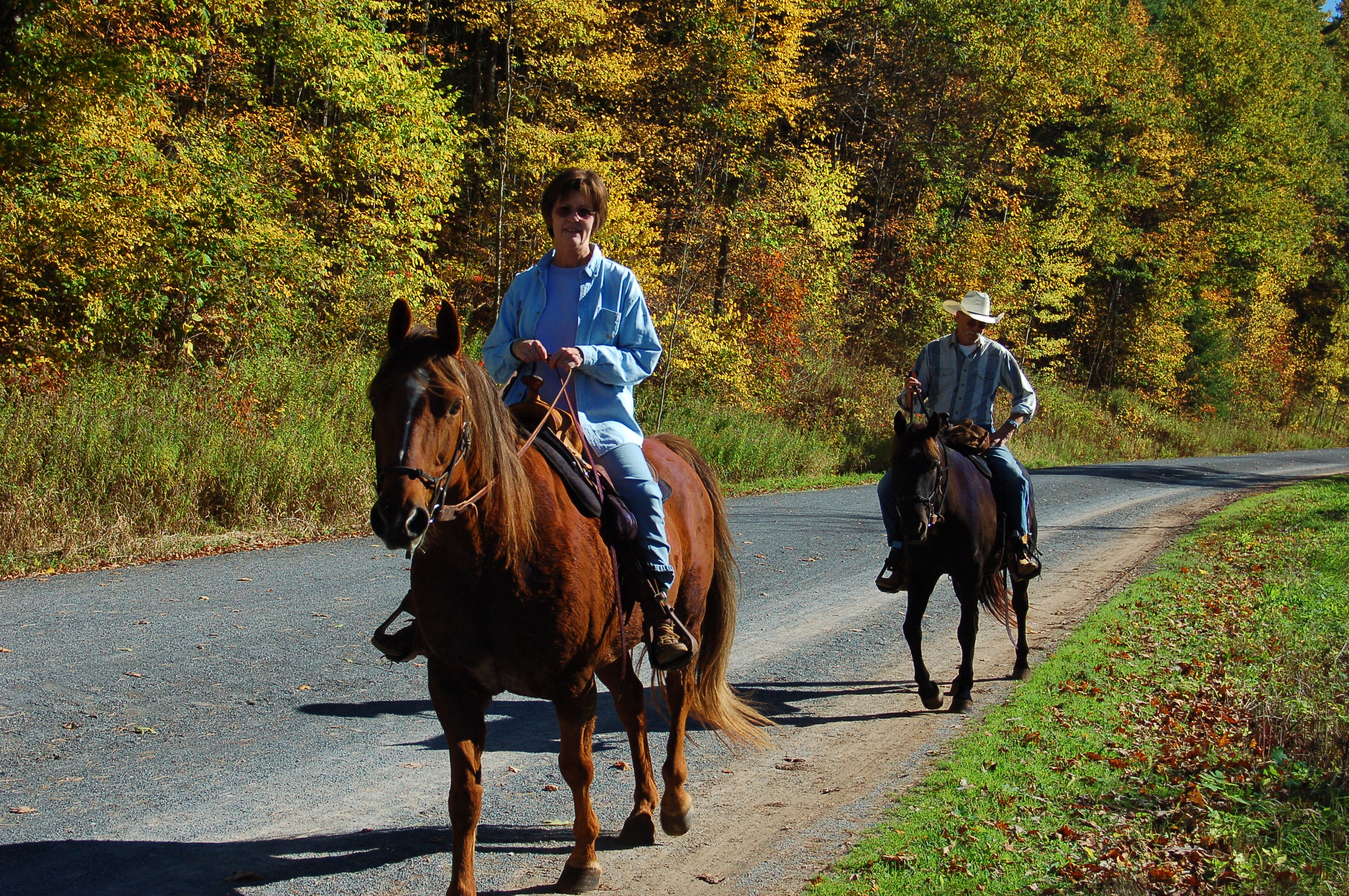 The Best Horseback Riding RailTrails in America TrailLink