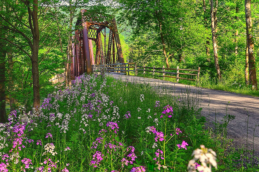 The Best Trails for Viewing Spring Flowers TrailLink