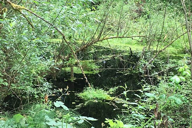 chilhowee mountain bike trails