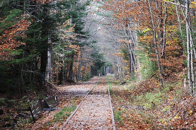 Cotton Valley Rail-Trail Photos | TrailLink