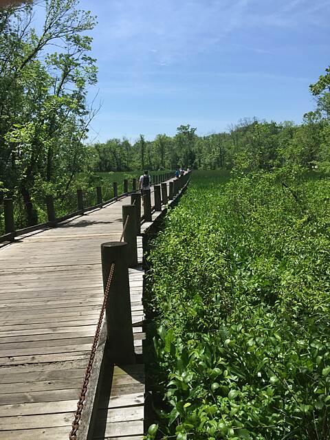 Mount Vernon Trail Photos TrailLink - Mount Vernon Trail 103569 640 