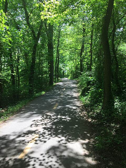 Mount Vernon Trail Photos TrailLink - Mount Vernon Trail 103571 640 